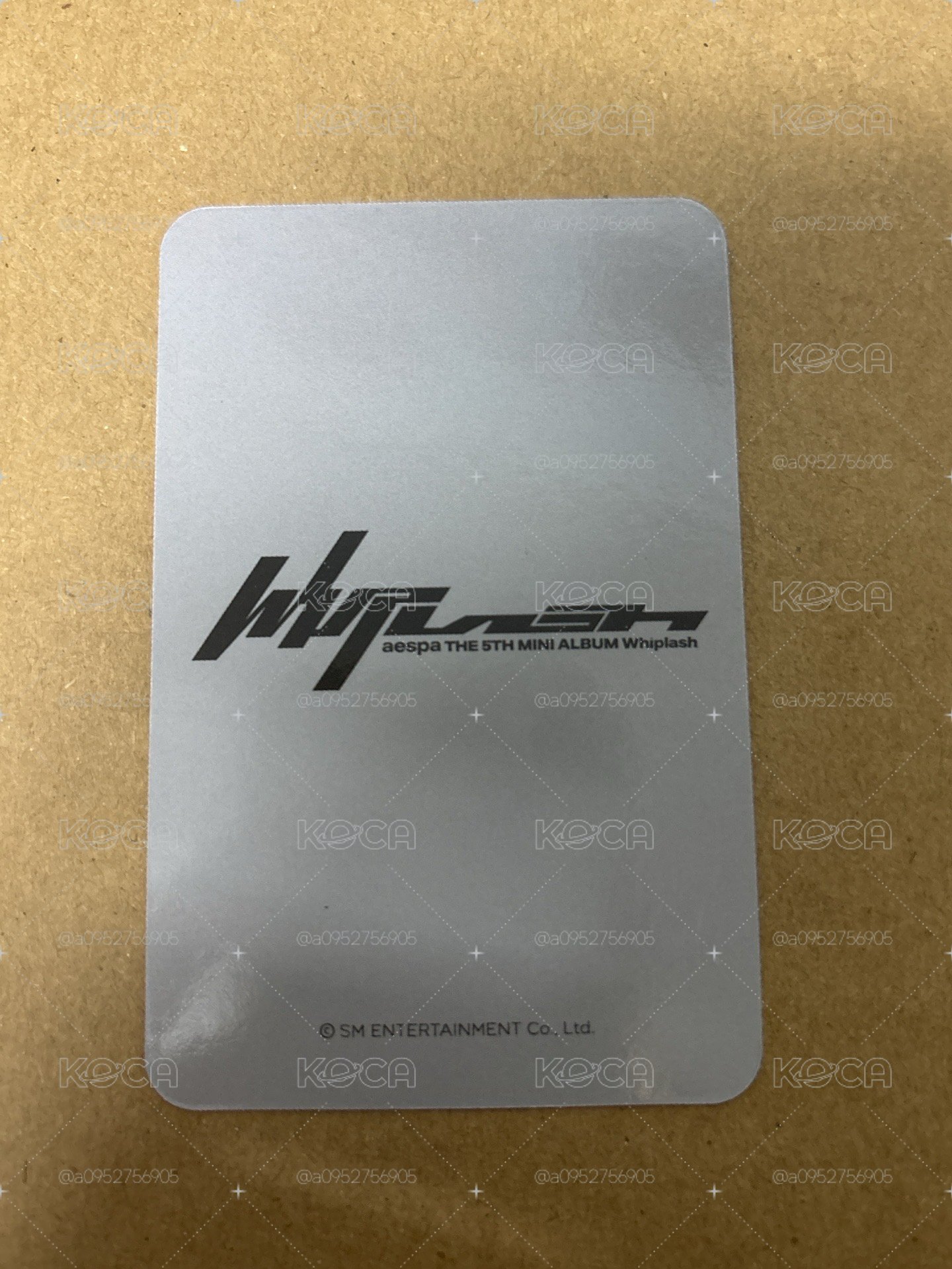Whiplash ms 幸運卡 柚 山茶花柚