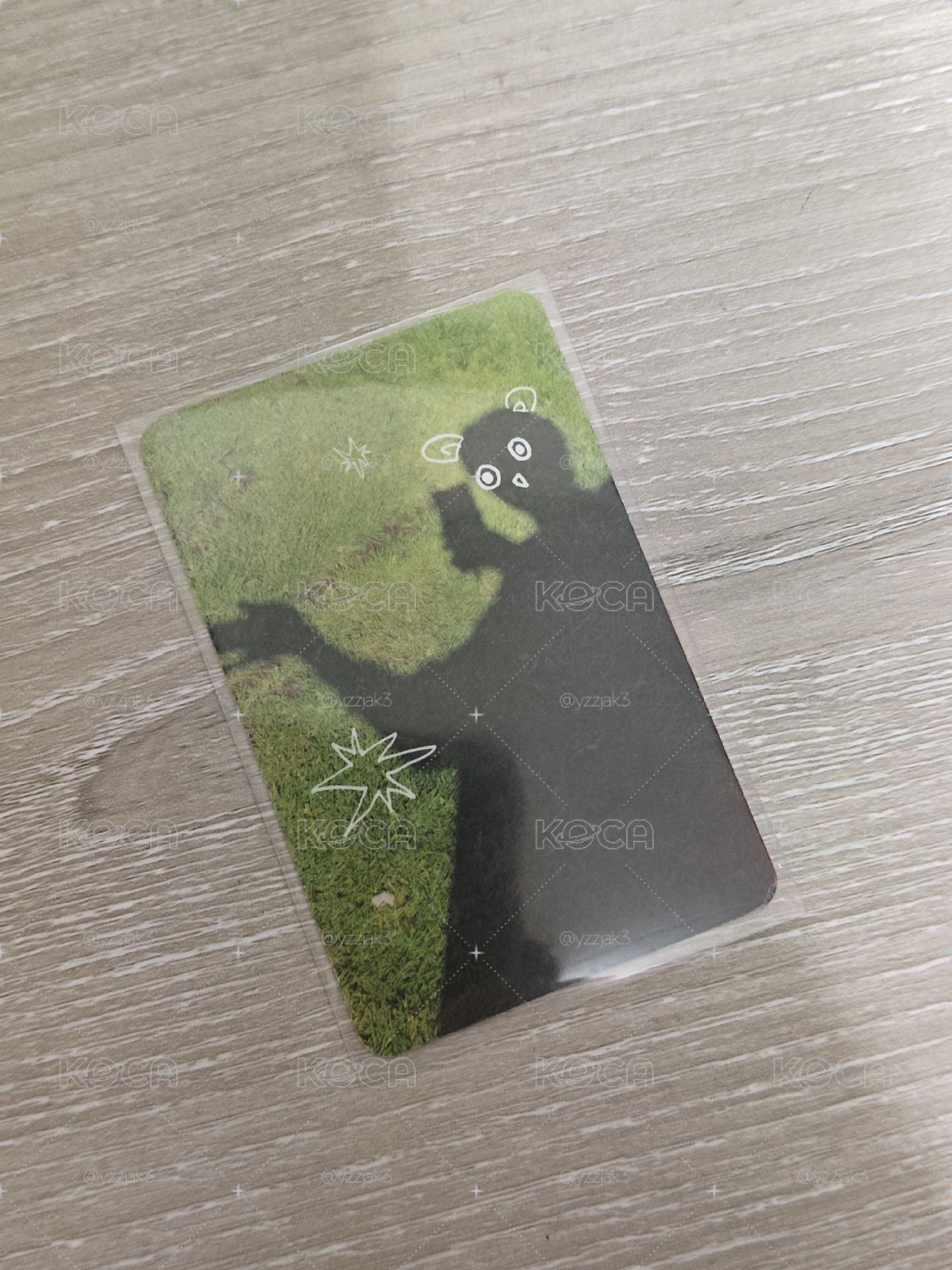 顯咪小盤! 貓懂你的心~