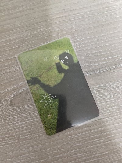 顯咪小盤! 貓懂你的心~