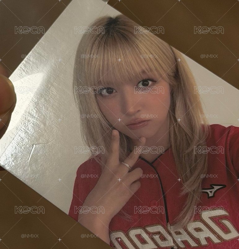 味全龍 莉薛