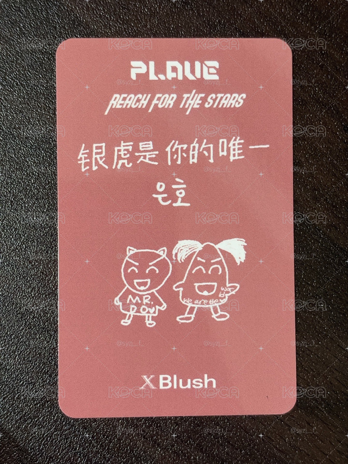 銀虎 四張合售