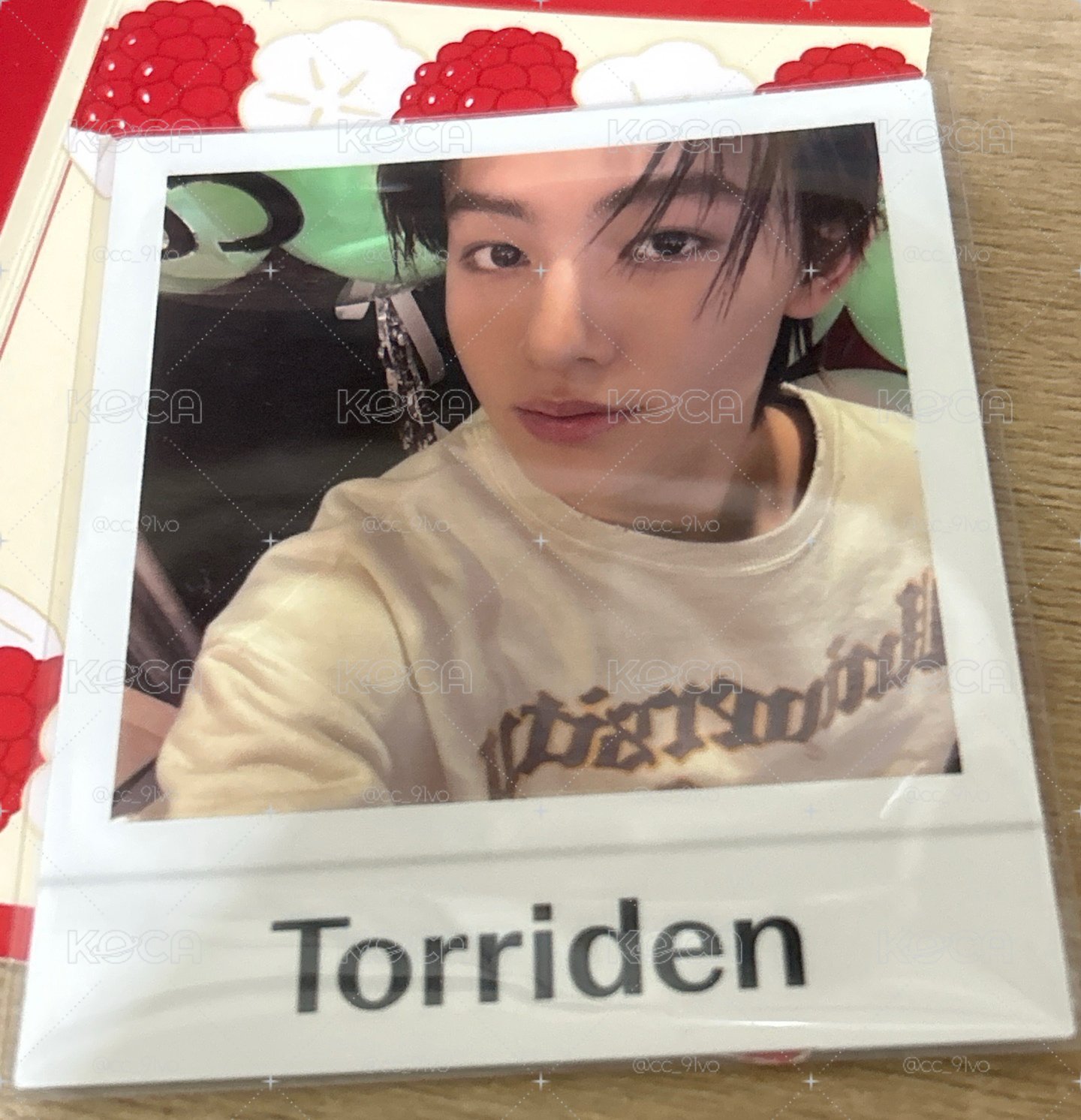 Torriden玹