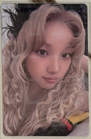 美網特典琦