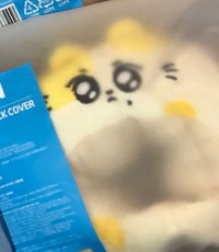 元手燈套