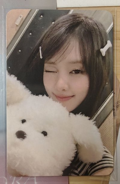 We are 🐶狗狗妮🐶