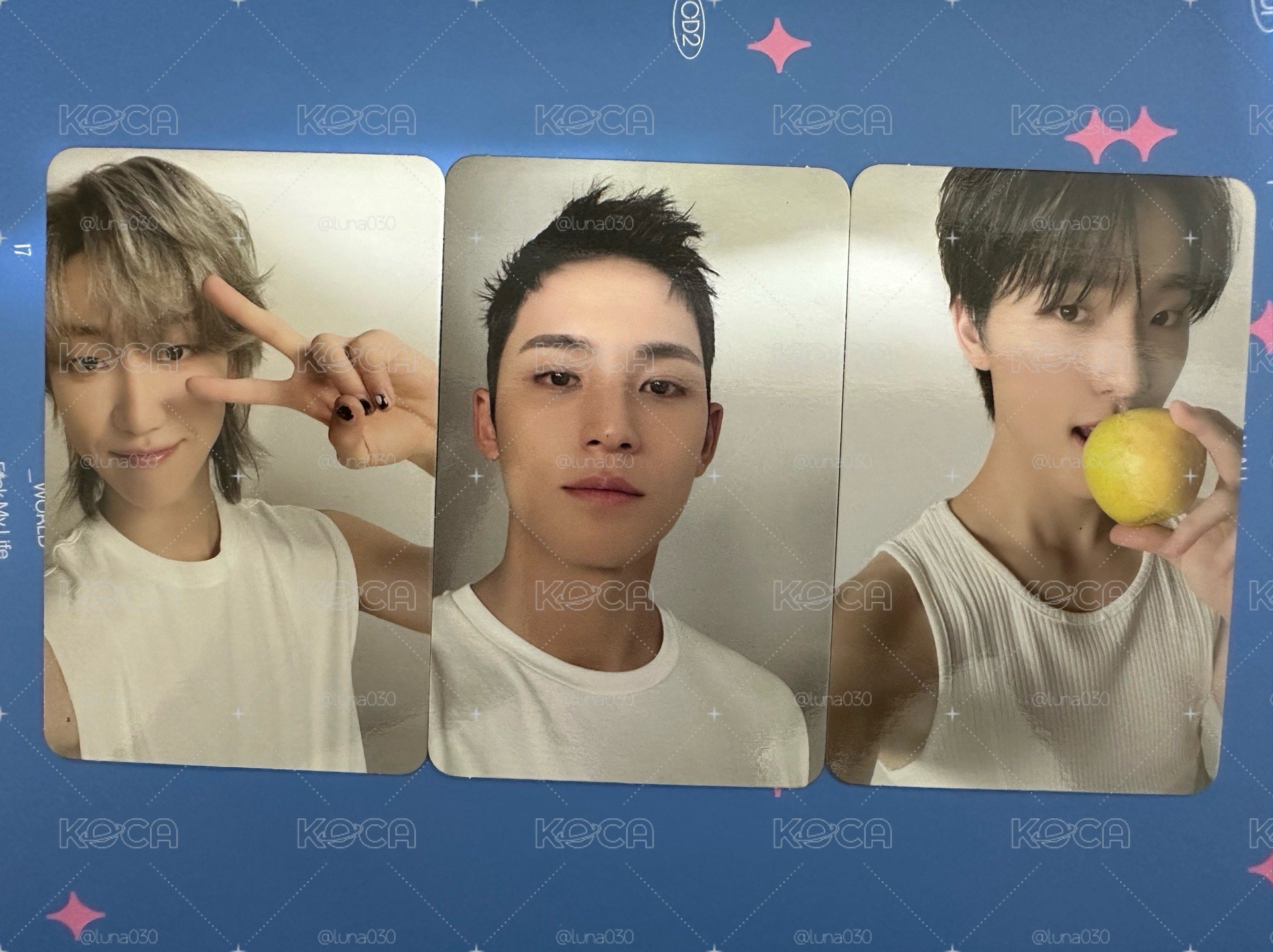 SEVENTEEN 哲 俊 圓 勳 八 奎 率 寛 燦 小卡