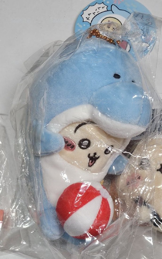 海豚兔