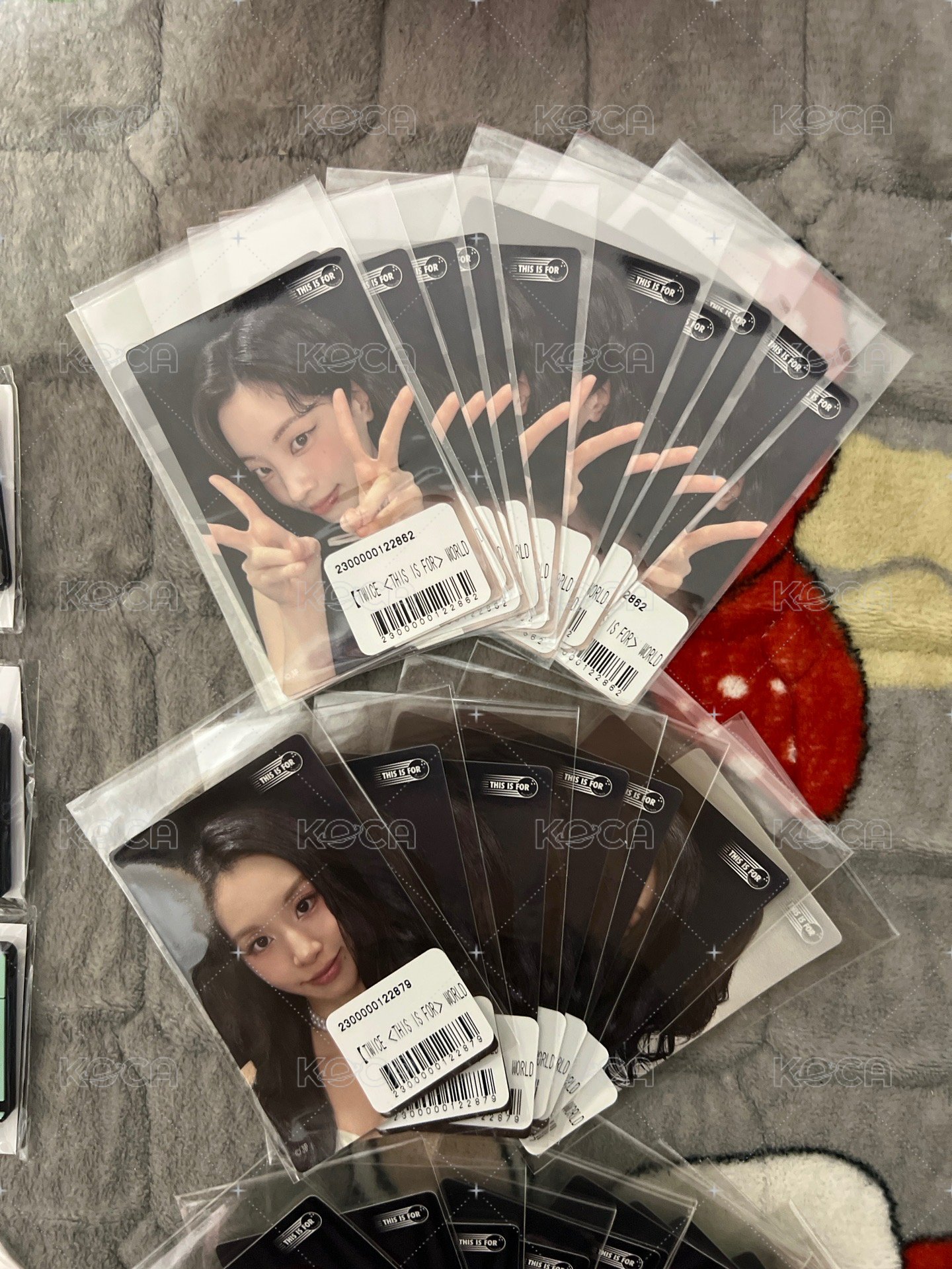 紗E*1+自選F*1  