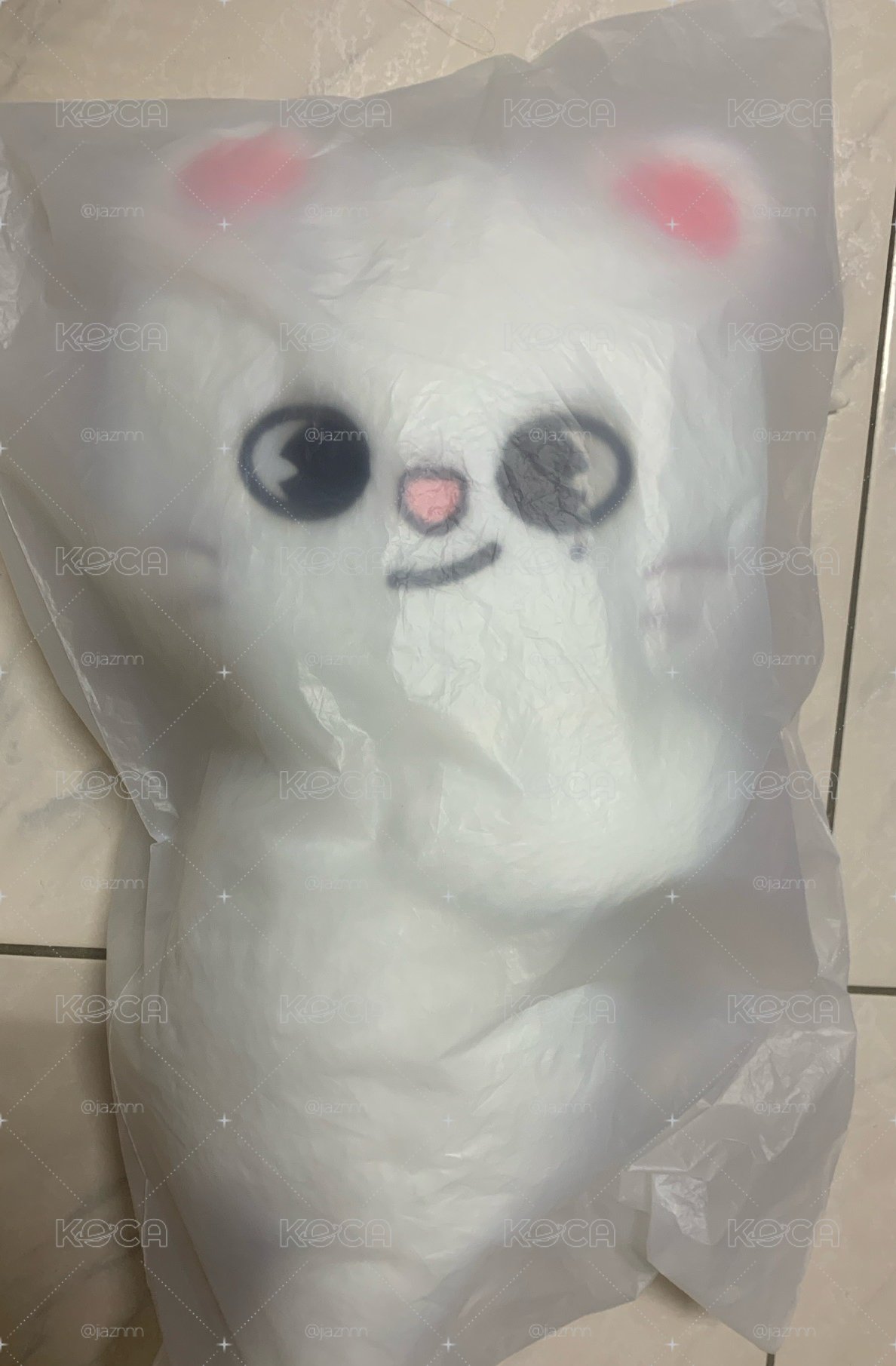 三巡安可辰側背