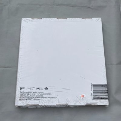 ⚠️請先看說明欄【義賣】金南俊 RM Indigo黑膠