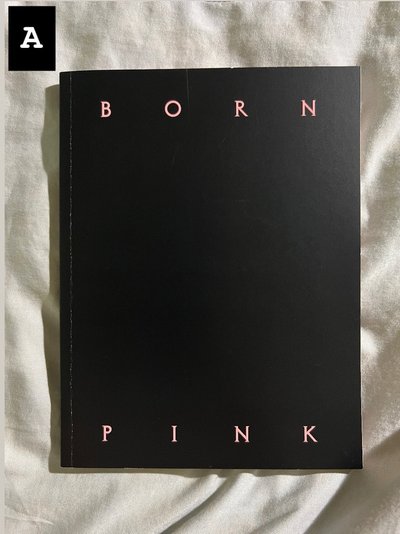 blackpink Born Pink 空專