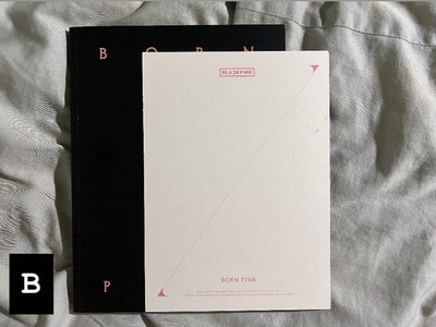 blackpink Born Pink 空專