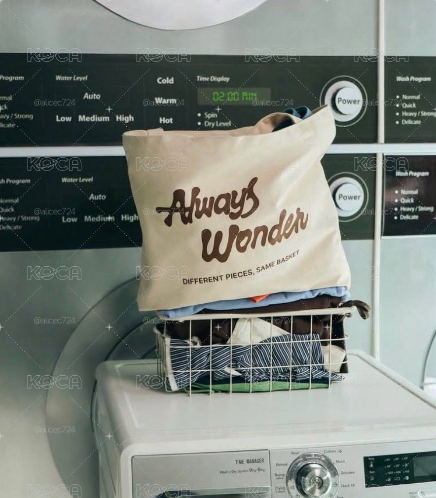 Alays wonder 限量洗衣袋托特包+貼紙