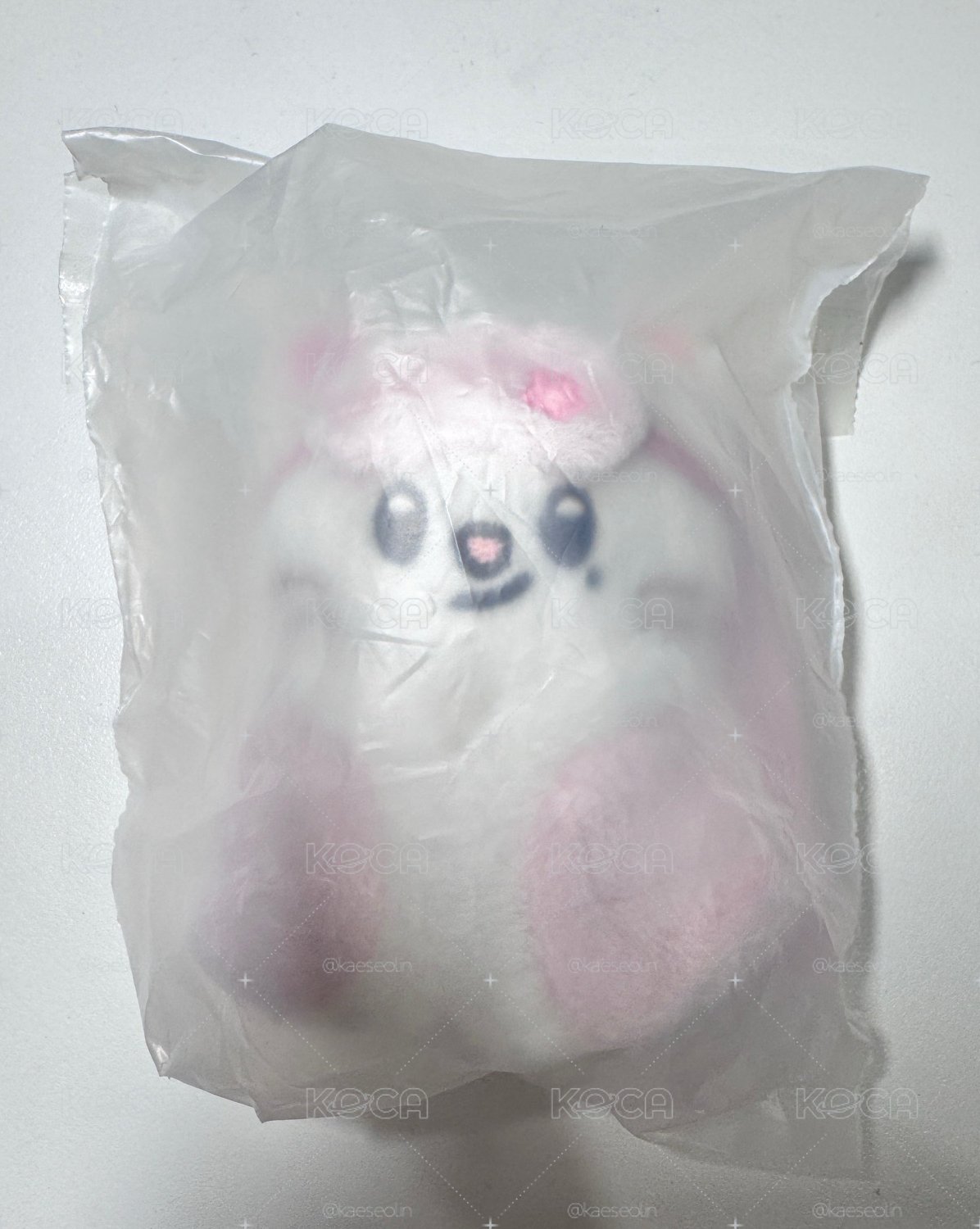 FM娃 辰