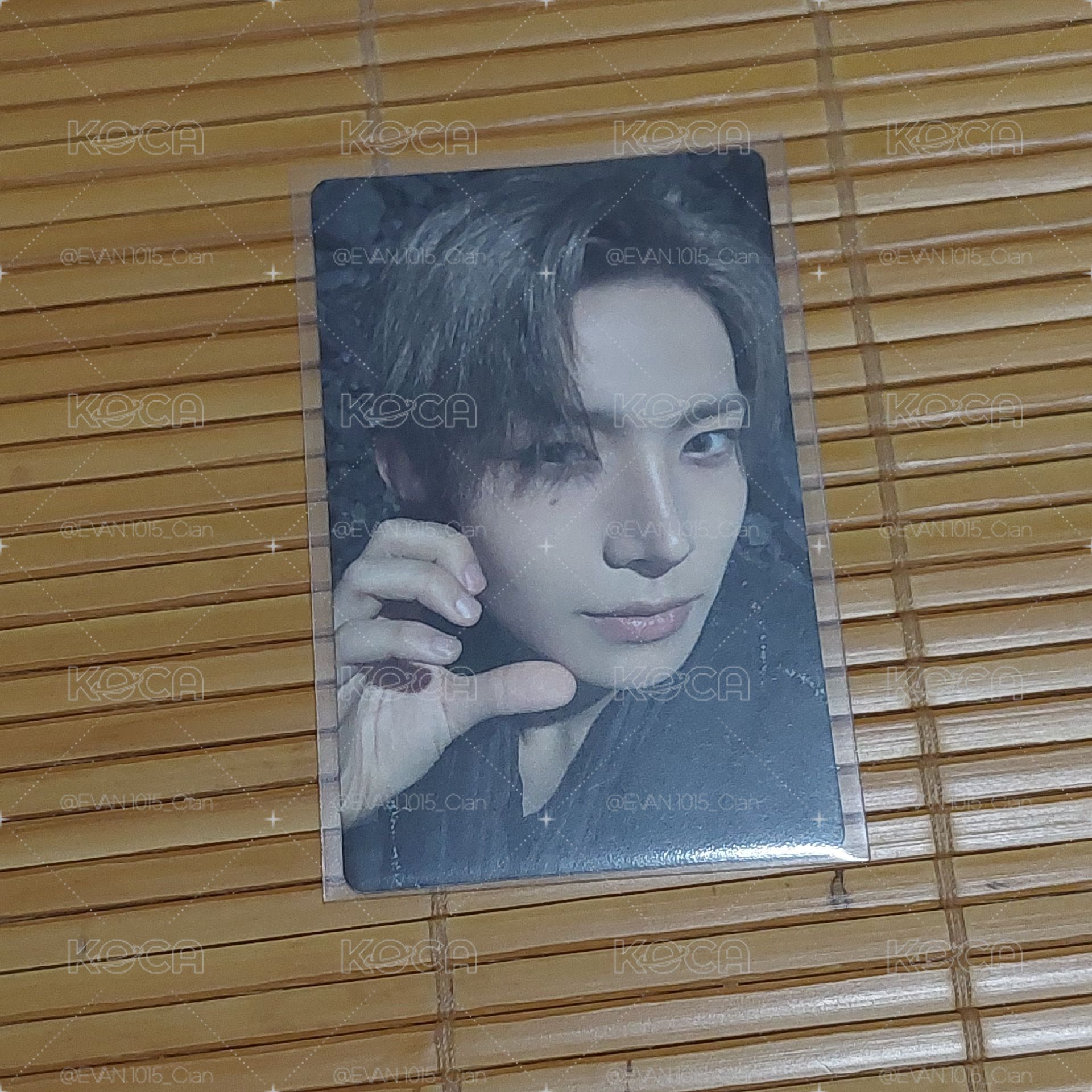 迷七WVS特典羲