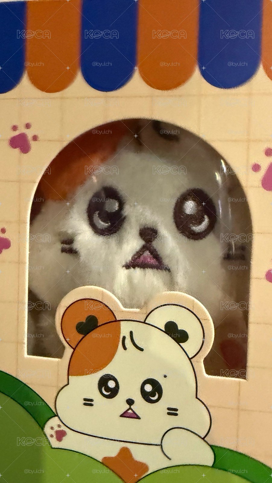 倉星+圖二小卡