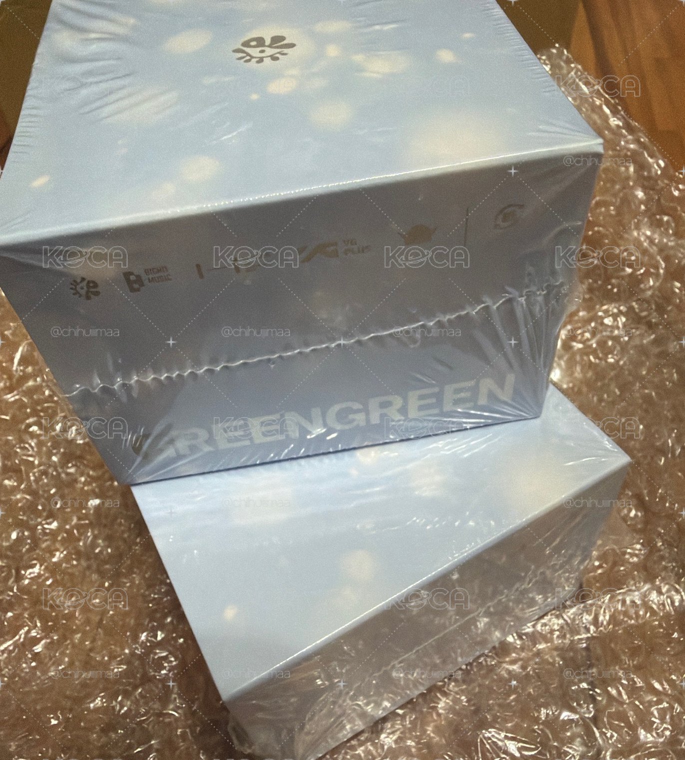Cortis green green 護唇膏專