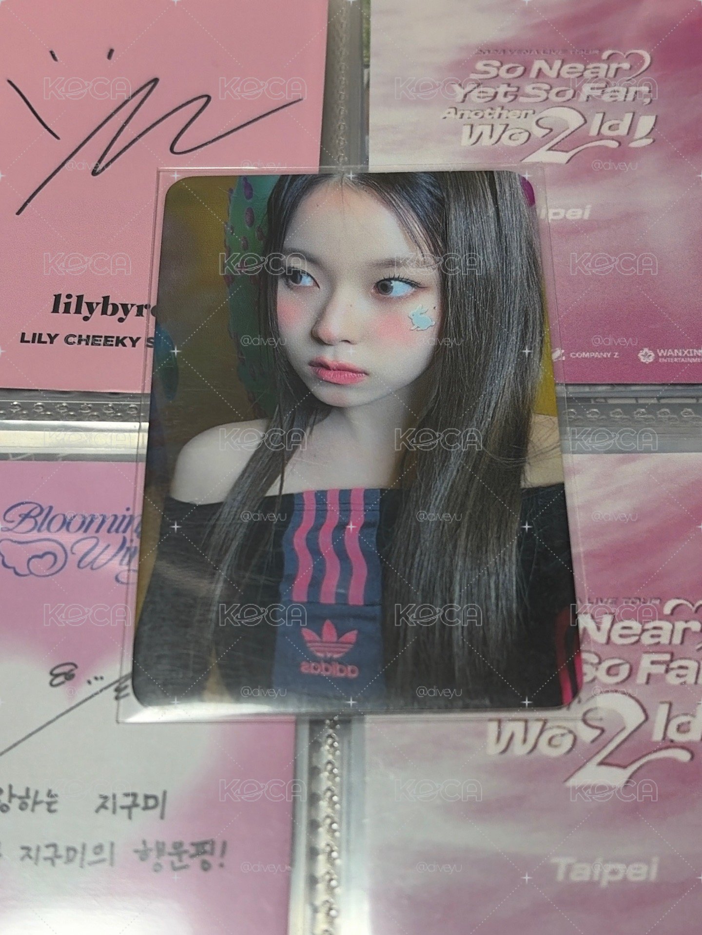 圭卡