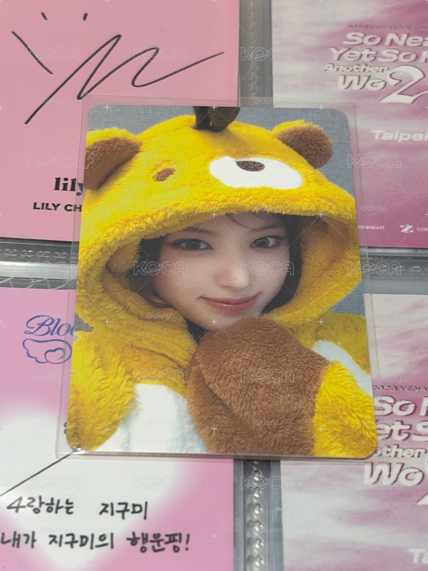 小蜜蜂友