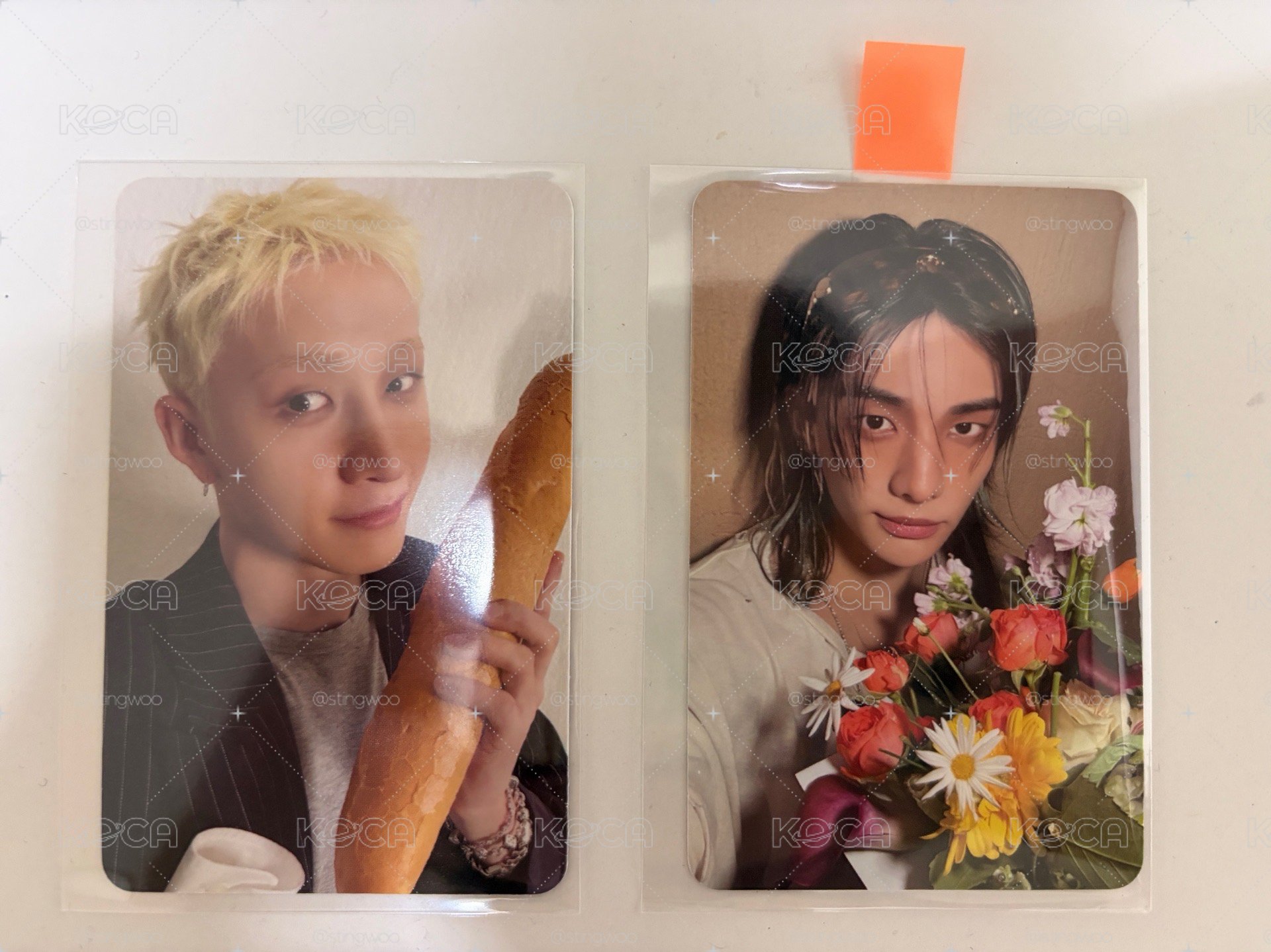捧花辰+燦
