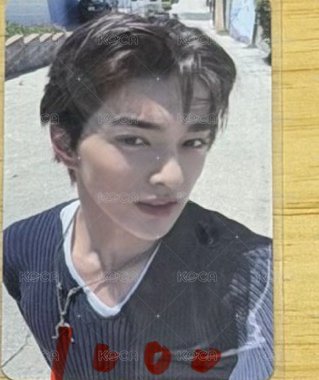 陽光小狗mk