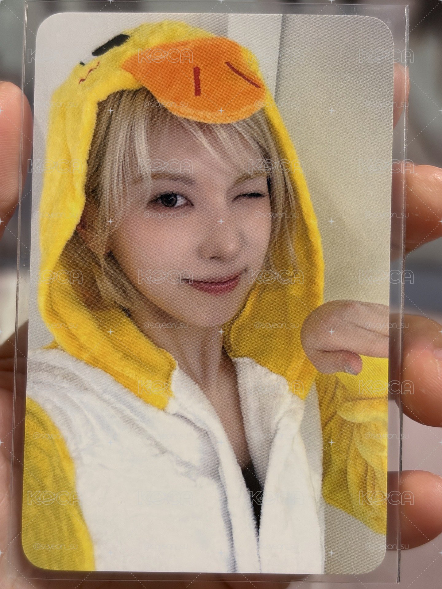 小雞裴
