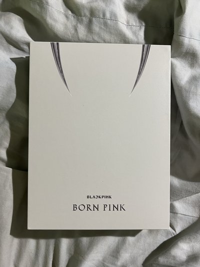 blackpink Born Pink 空專