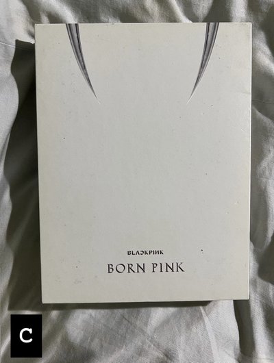 blackpink Born Pink 空專