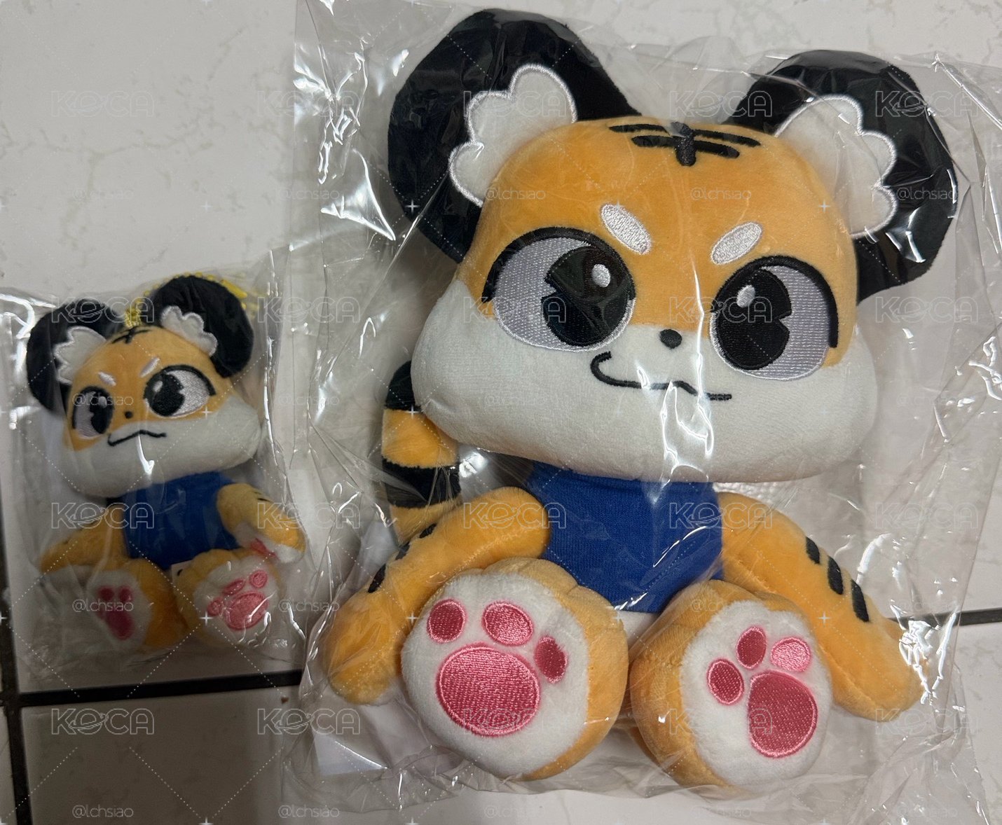 東海solo 大小虎