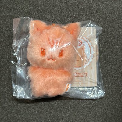 Aniteez 橘色小貓