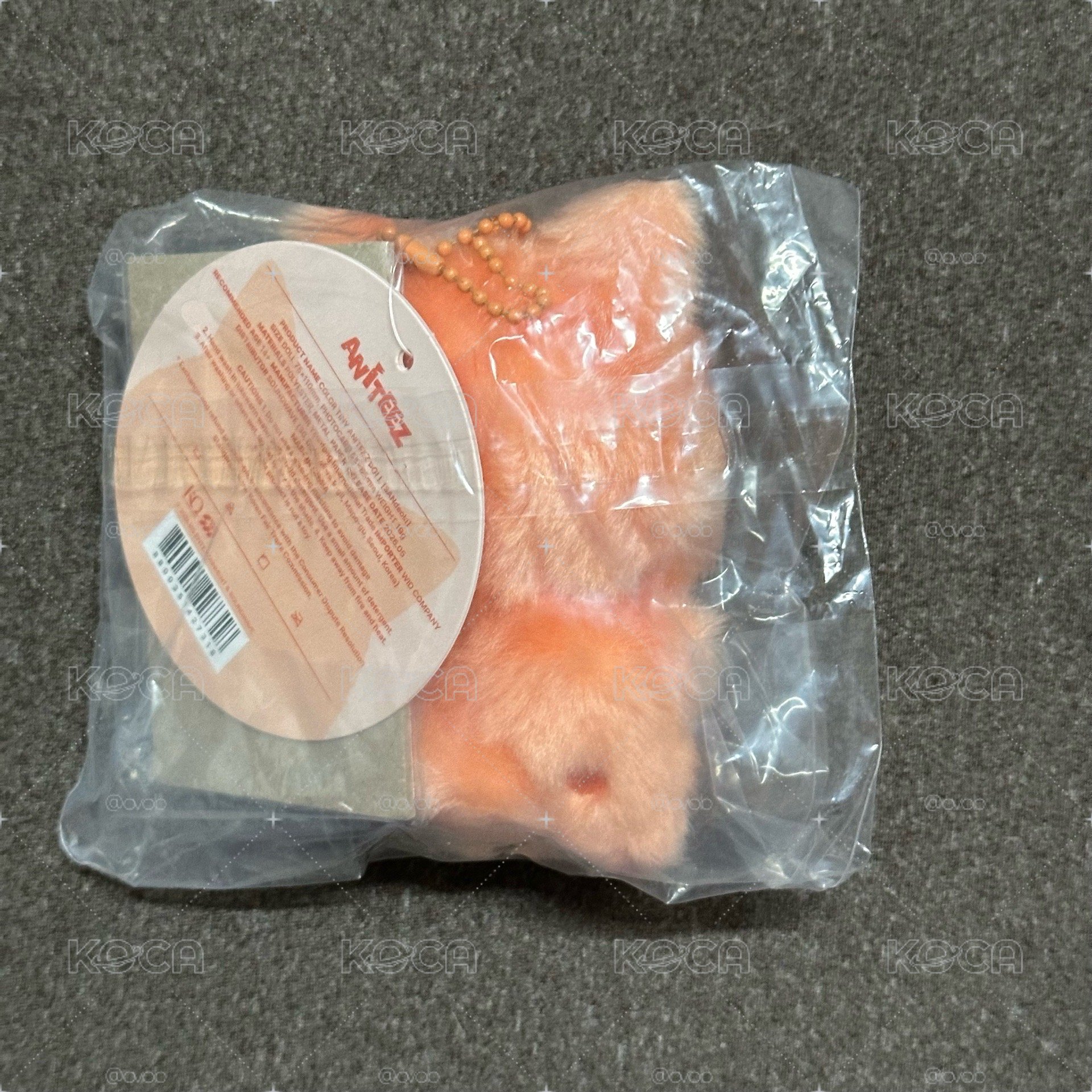 Aniteez 橘色小貓
