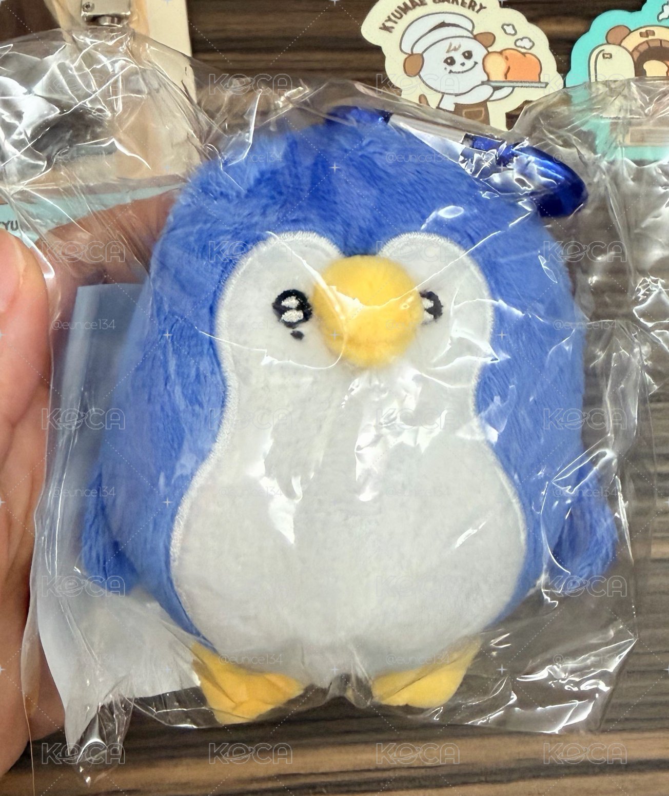 全新 日周 🐧