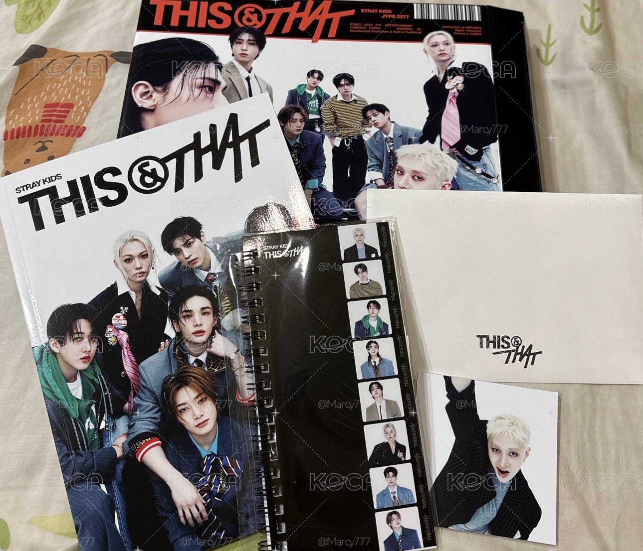 ✨SKZ官方空專✨《THIS & THAT》普版 this版空專/that版空專 不含隨機小卡