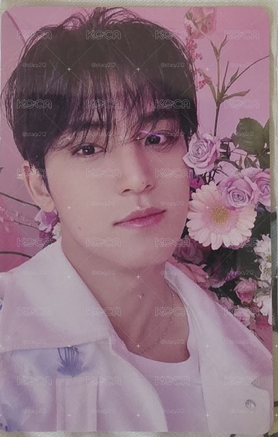 花花奎
