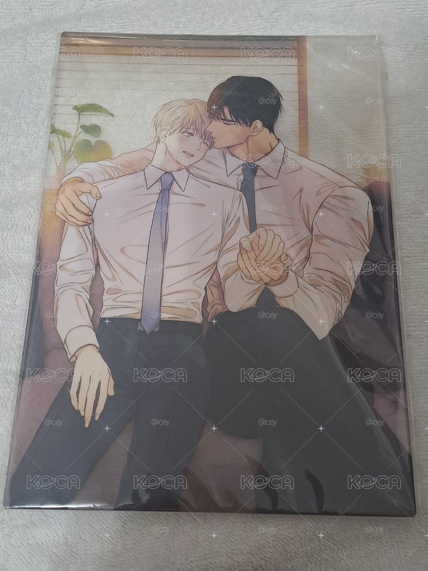 戀愛禁區壓克力複製畫板