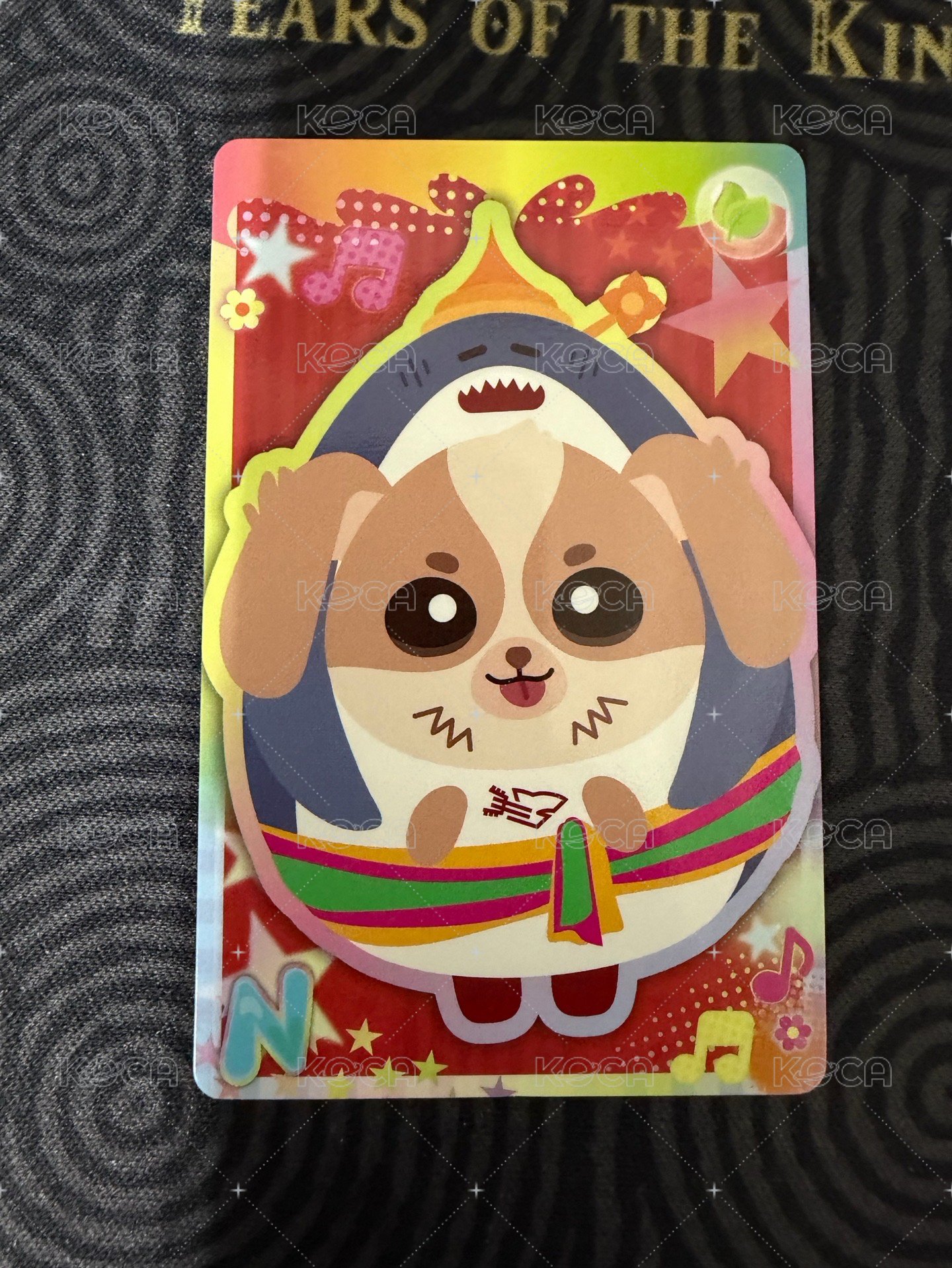 WESLEY(需綁2張⭐️）