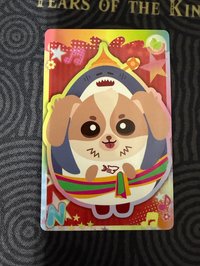 WESLEY(需綁2張⭐️）