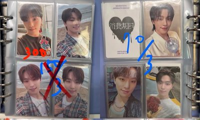 SVT 燦大盤