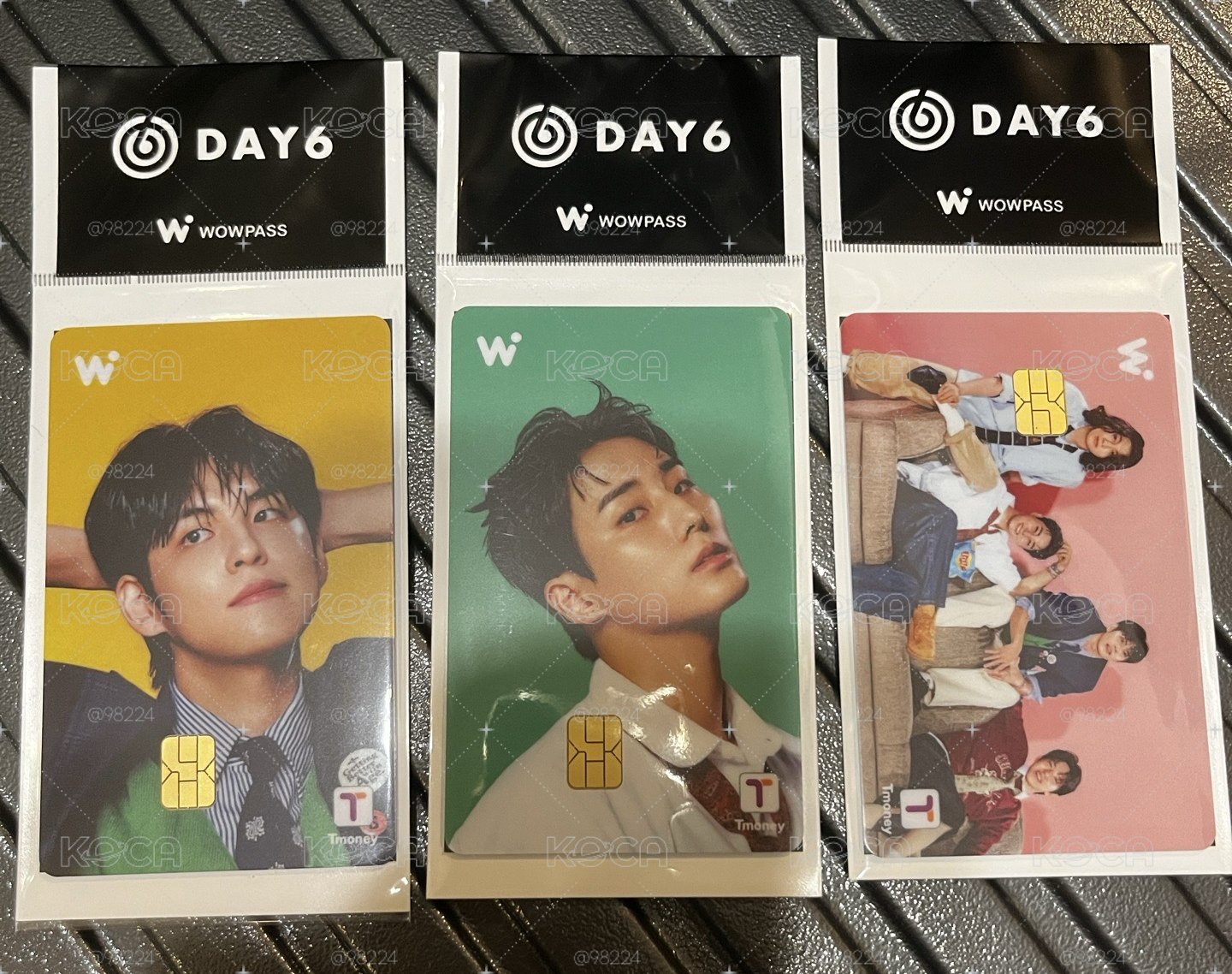 DAY6 wowpass 交通卡 wonpil young k
