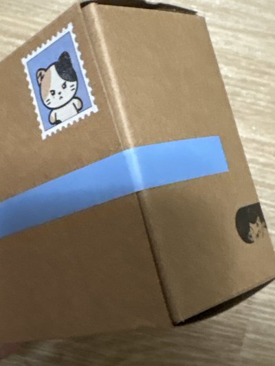 全新未拆 盒娃沈泉銳rinini