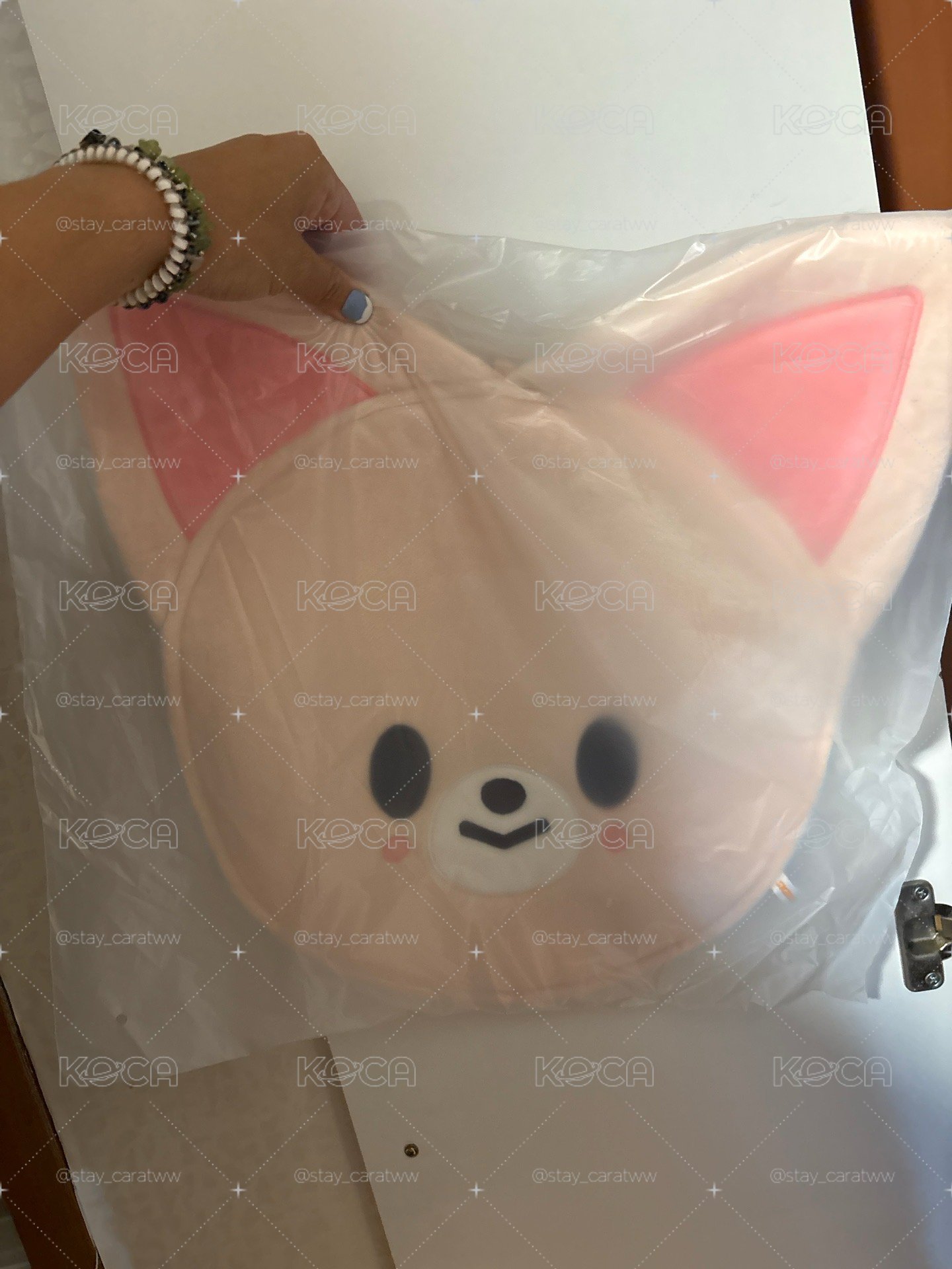 韓版扇套 豆豆眼扇套 寅