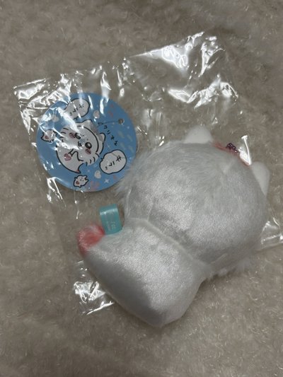 吉伊卡哇水族館 海天使小桃
