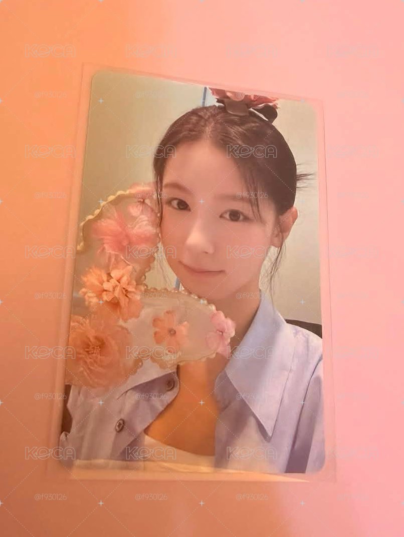 代）蝴蝶麵