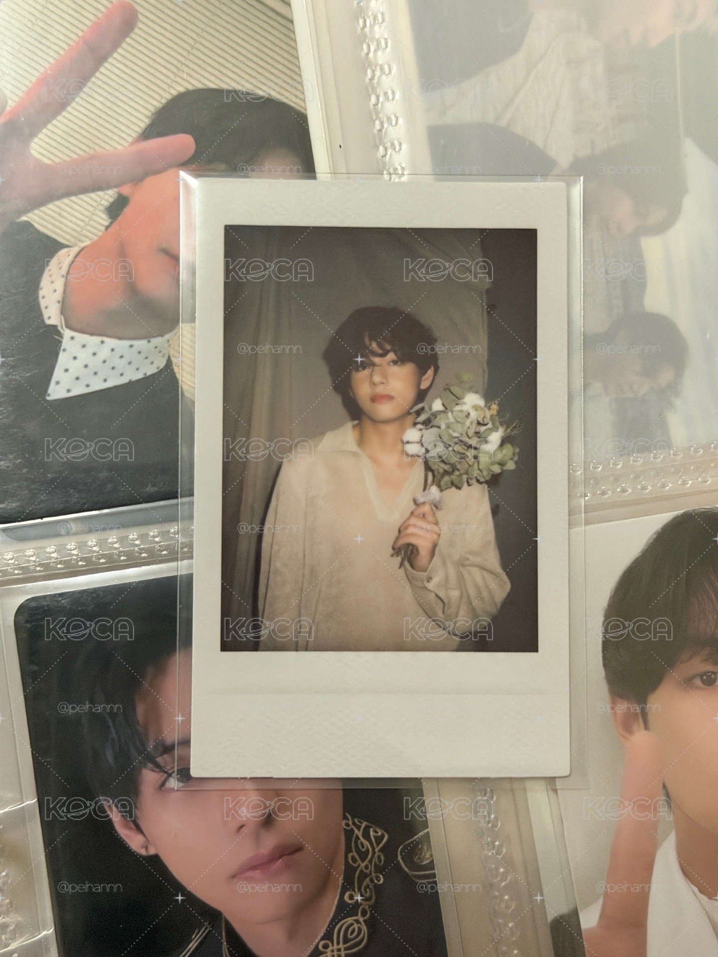 拍立得泰