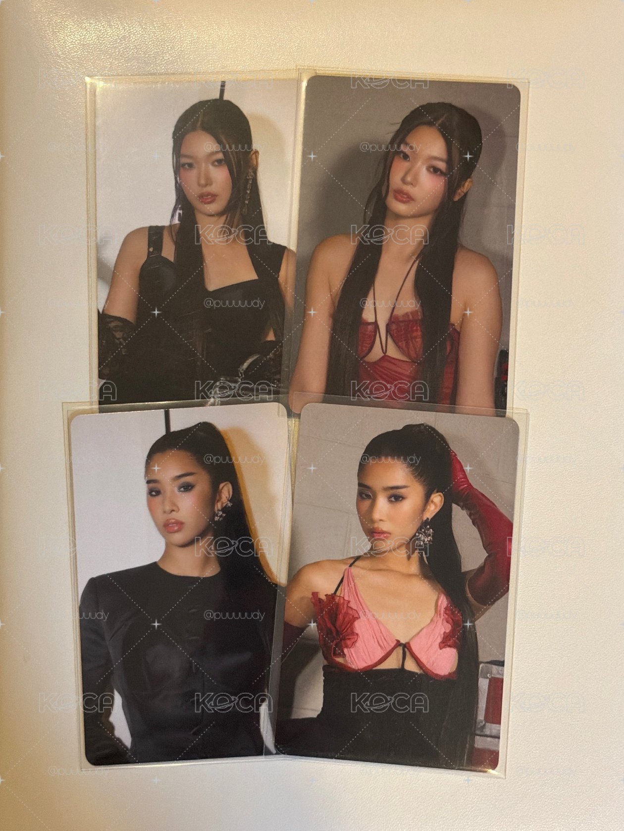 美巡卡包 菲&彩