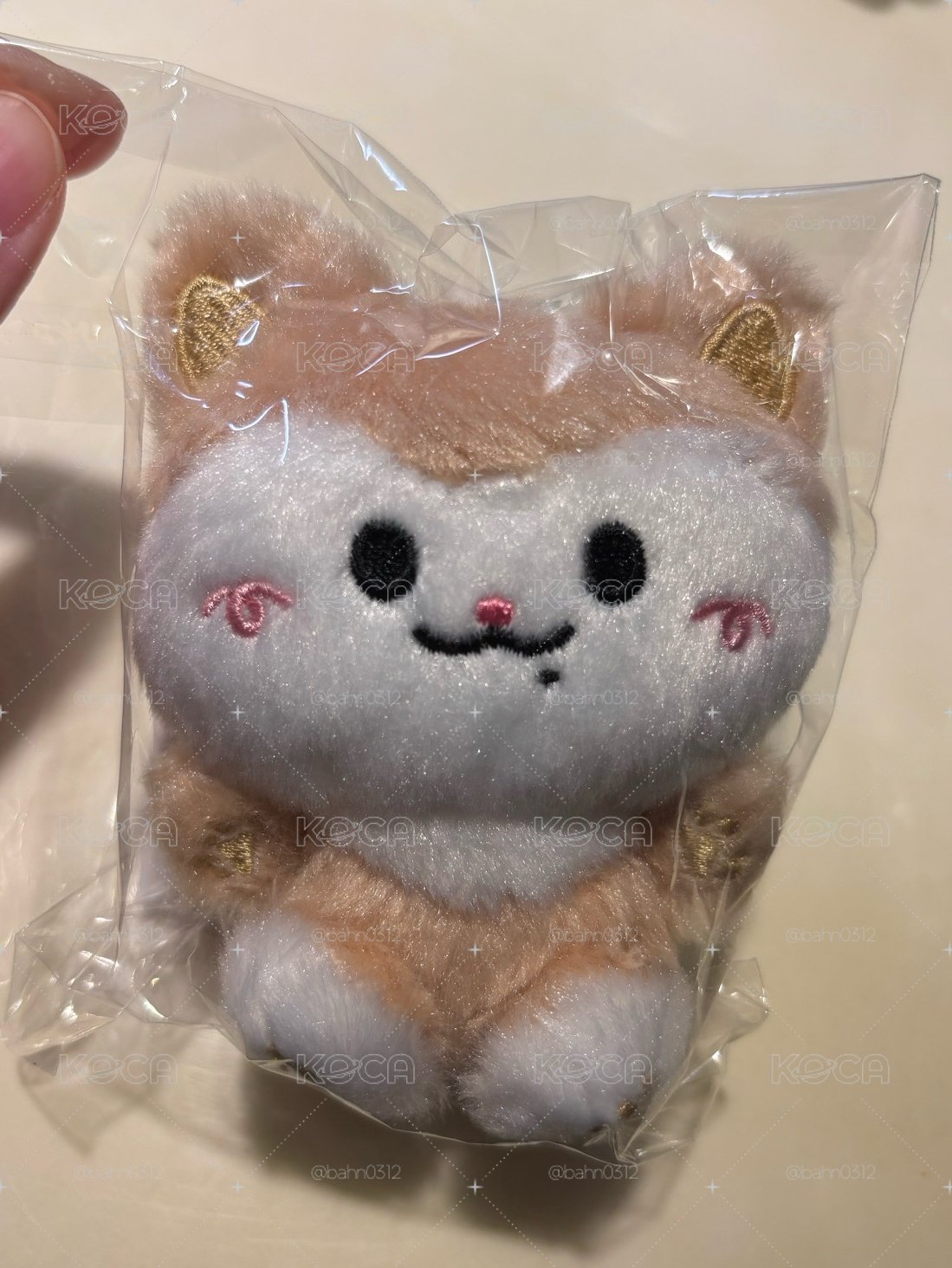 坐姿娃 領
