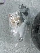 辰寅扭蛋
