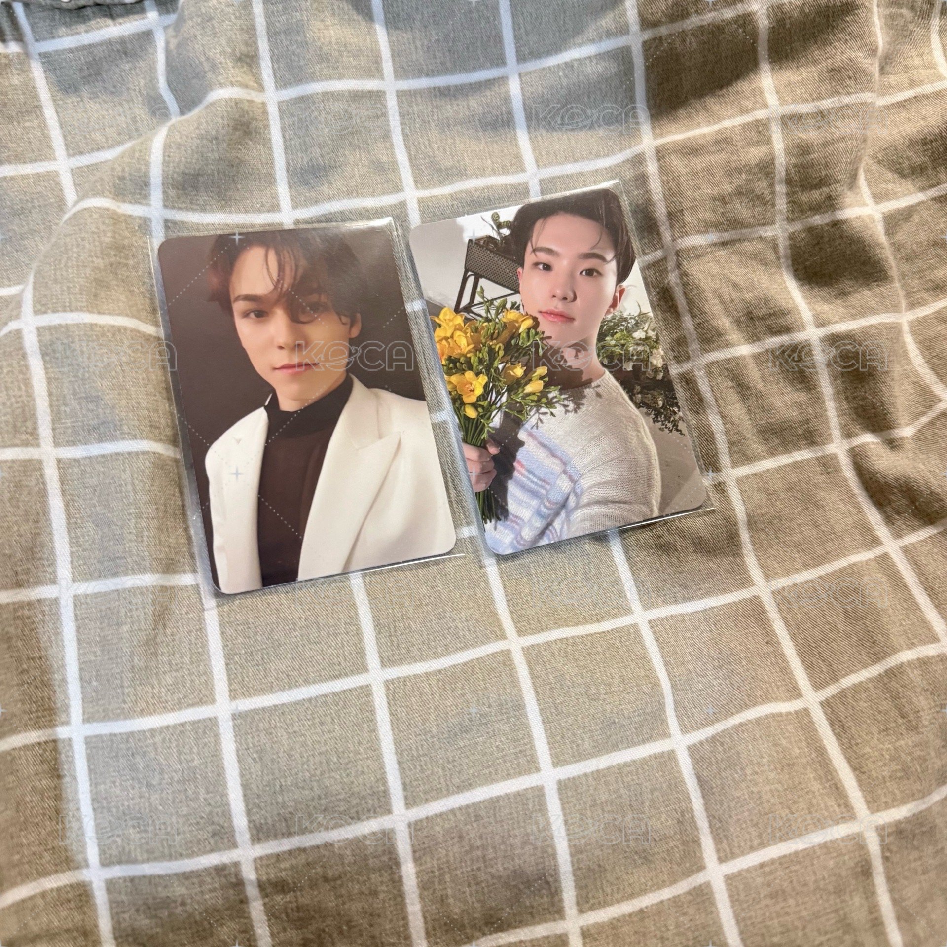 Hoshi+Vernon（不拆）