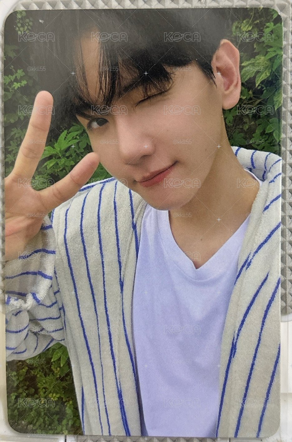 bolo4 專輯卡 Pineapple ver.