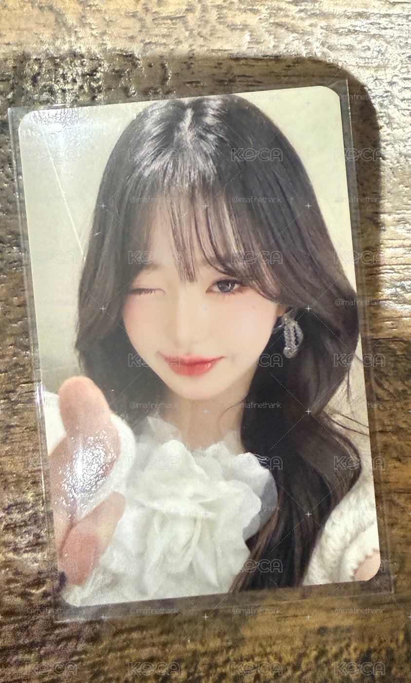 ive ms2員